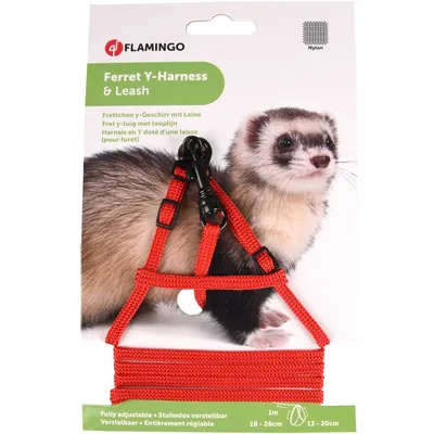 1 Harnais Y pour Furet et Rat