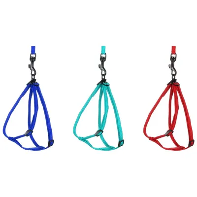 1 Harnais Y pour Furet et Rat