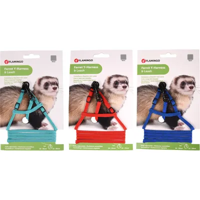 1 Harnais Y pour Furet et Rat