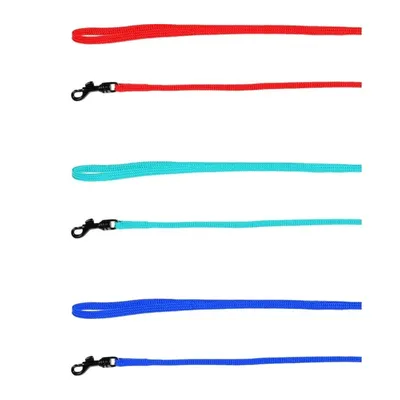 1 Harnais Y pour Furet et Rat