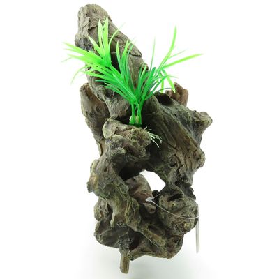 Racine et plante. Taille: 30 x 12 x 27 cm.