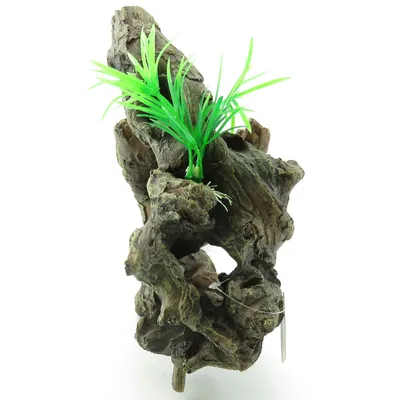 Racine et plante. Taille: 30 x 12 x 27 cm.