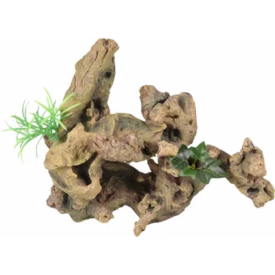 Racine et plante. Taille: 30 x 12 x 27 cm.