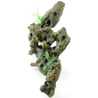 Racine et plante. Taille: 30 x 12 x 27 cm.
