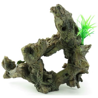 Racine et plante. Taille: 30 x 12 x 27 cm.