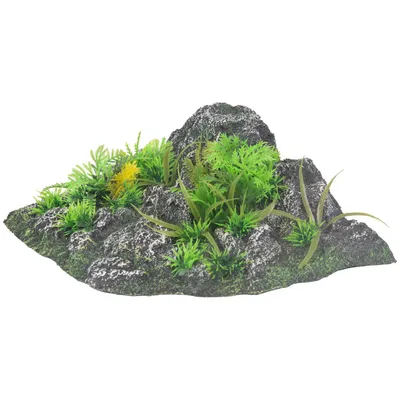 Décoration angle, roche + plante