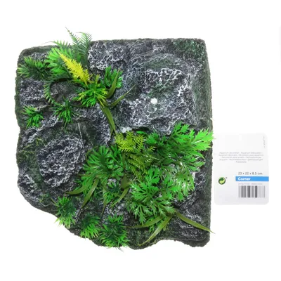 Décoration angle, roche + plante