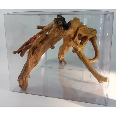 Décor kit Idro racine n° 2