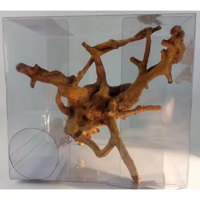 Décor kit Idro racine n° 2