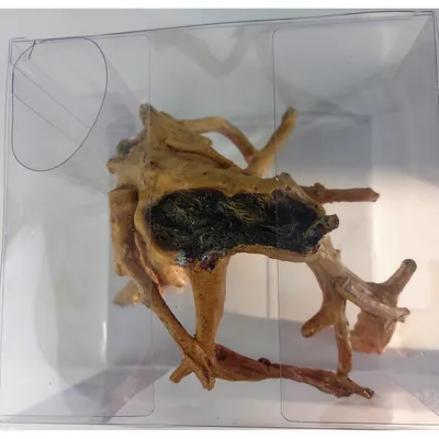 Décor kit Idro racine n° 2