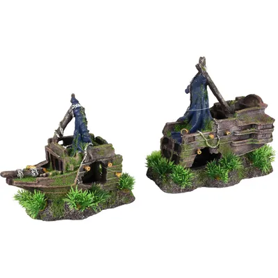 Moza, épave en 2 pieces, taille 43cm