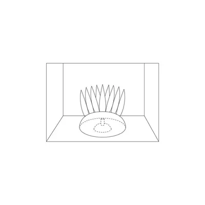 1 Fougeres fluo. decoration aquarium