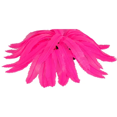 1 Fougeres fluo. decoration aquarium