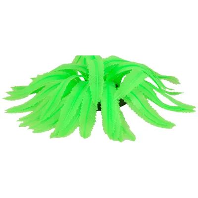 1 Fougeres fluo. decoration aquarium