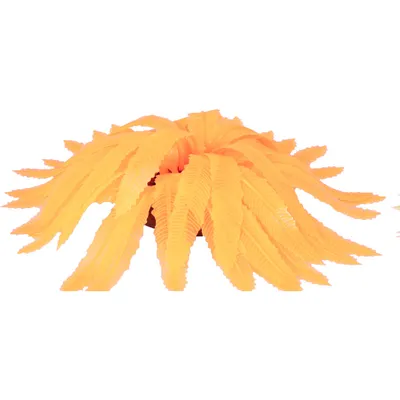 1 Fougeres fluo. decoration aquarium