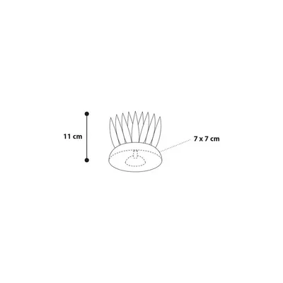 1 Fougeres fluo. decoration aquarium