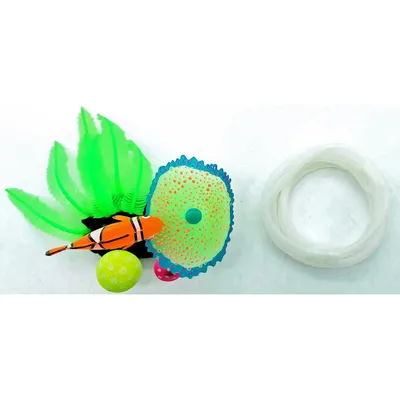 Poisson clown avec sortie d'air