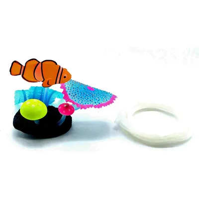 Poisson clown avec sortie d'air