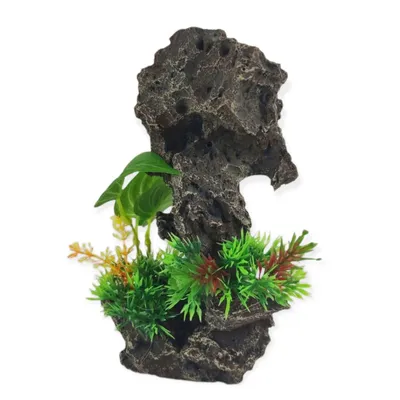 Décoration rocher gris + plantes