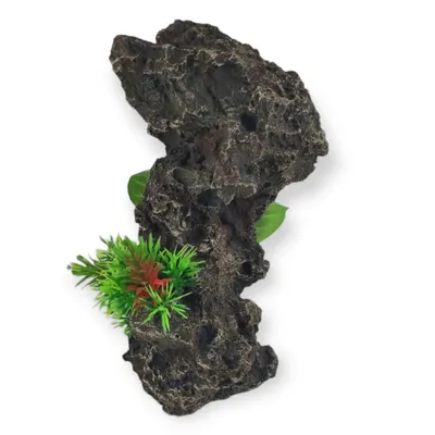 Décoration rocher gris + plantes