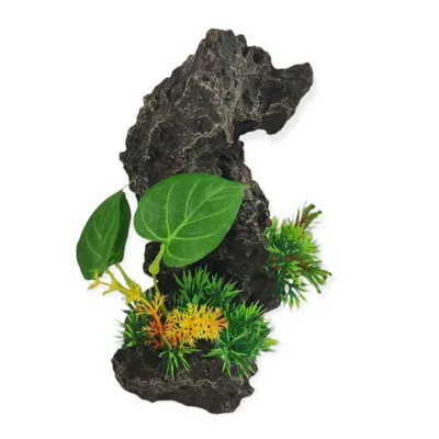 Décoration rocher gris + plantes