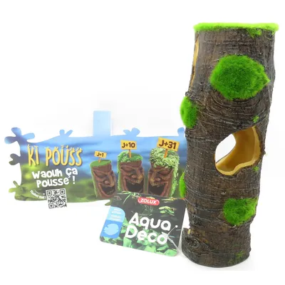 tronc grand modèle avec mousse