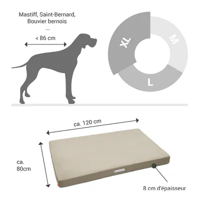 Doctor Bark Matelas orthopédique pour chien Doctor Bark Matelas orthopédique pour chien