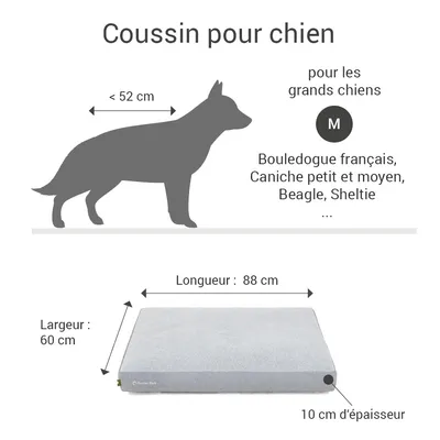 Coussin Lounge Doctor Bark « GreenLabel » Coussin Lounge Doctor Bark « GreenLabel »