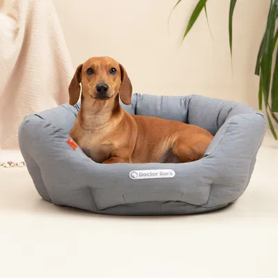 Doctor Bark nid orthopédique pour chien Doctor Bark nid orthopédique pour chien
