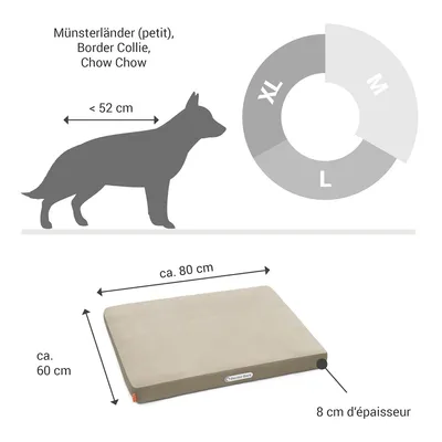 Doctor Bark Matelas orthopédique pour chien Doctor Bark Matelas orthopédique pour chien