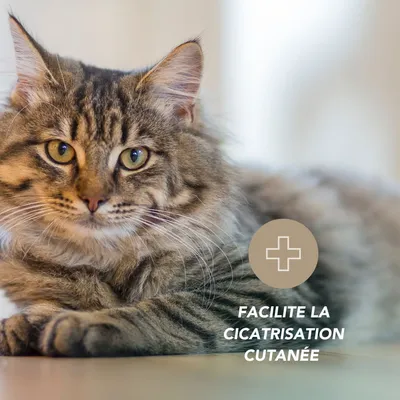 Argent colloïdal 20ppm - Laboratoire Floralpina