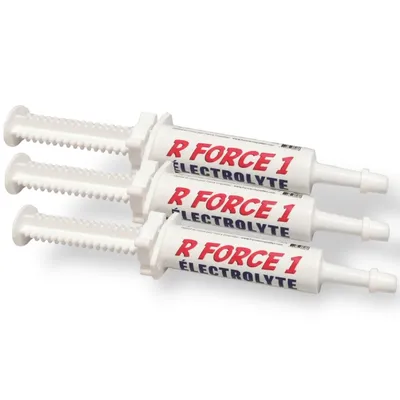 France Croquettes booster et recuperateur r force 1 électrolyte France Croquettes booster et recuperateur r force 1 électrolyte