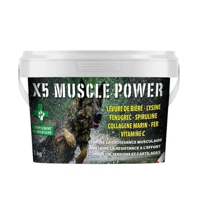 France Croquettes complement alimentaire x5 muscle power France Croquettes complement alimentaire x5 muscle power