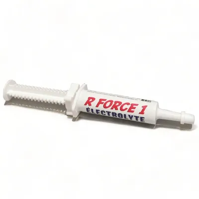 France Croquettes  booster et recuperateur r force 1 électrolyte France Croquettes  booster et recuperateur r force 1 électrolyte