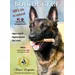 XXL-Hirschgeweih, 200–300 g, für Hunde unter 50 kg