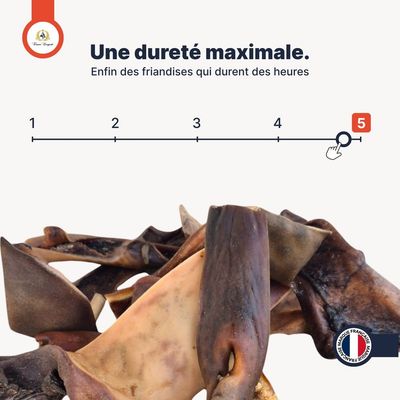France Croquettes - Peaux de chameau - Ultra résistant