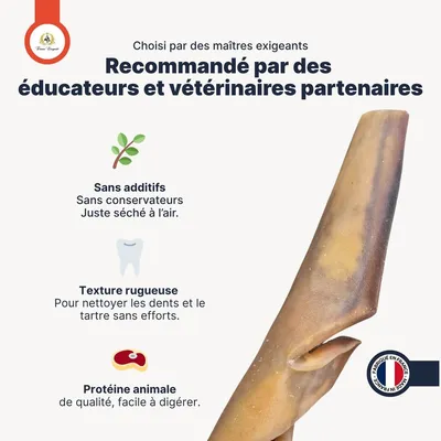 France Croquettes - Peaux de chameau - ultraresistant & hypoallergénique