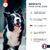 France Croquettes friandise pour chien Aiguillettes de Poulet