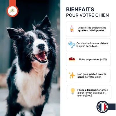 France Croquettes friandise pour chien Aiguillettes de Poulet