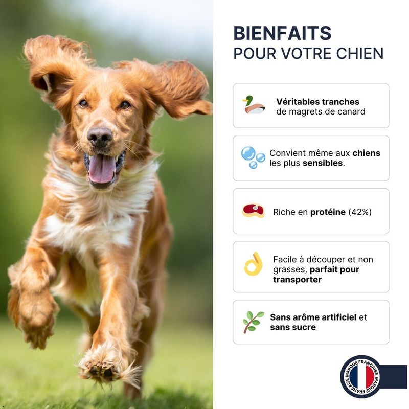 france croquettes magrets de canard friandise pour chien