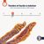 france croquettes magrets de canard friandise pour chien