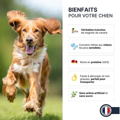 France Croquettes magrets de canard friandise pour chien
