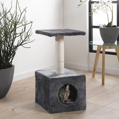 Love Story - Arbre à Chat Simple