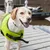 L Jauneove Story - Gilet de Flottaison Réfléchissant pour Chien L Jauneove Story - Gilet de Flottaison Réfléchissant pour Chien