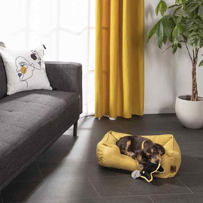Love Story - Couchage Cosy Golden - panier pour chien