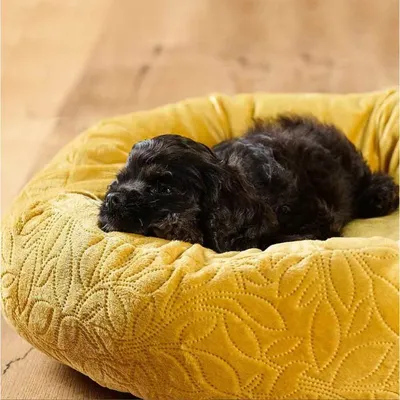 Love Story - Coussin Boho Donut - couchage animaux rond