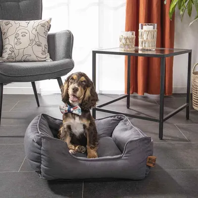 Love Story - Couchage Terrazzo - panier pour chien Love Story - Couchage Terrazzo - panier pour chien