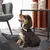 Love Story - Couchage Terrazzo - panier pour chien Love Story - Couchage Terrazzo - panier pour chien