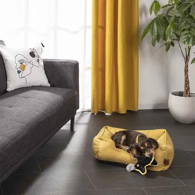 Love Story - Couchage Cosy Golden - panier pour chien Love Story - Couchage Cosy Golden - panier pour chien