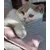 Kater Kasimir, Souris jouet pour chats, Mäuserich Kater Kasimir, Souris jouet pour chats, Mäuserich